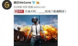 吃鸡爆料官网最新版,揭秘游戏新内容与更新亮点