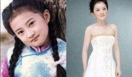 金铭策划爆料了吗最新消息,揭秘幕后真相，行业动态大起底！